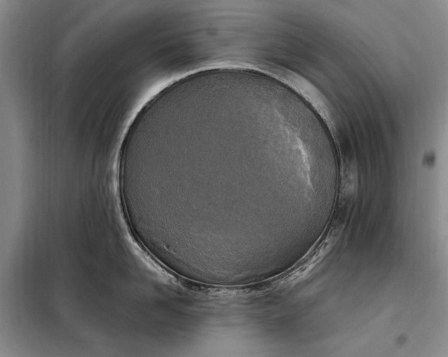 X0000098120958200804181517