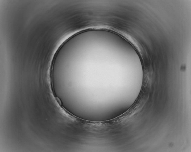 X0000098120959200804181517