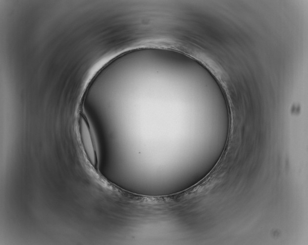 X0000098120960200804181517