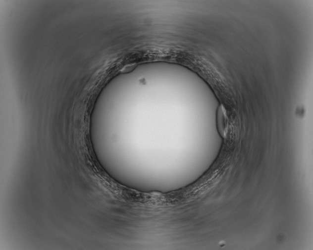 X0000098120961200804181516