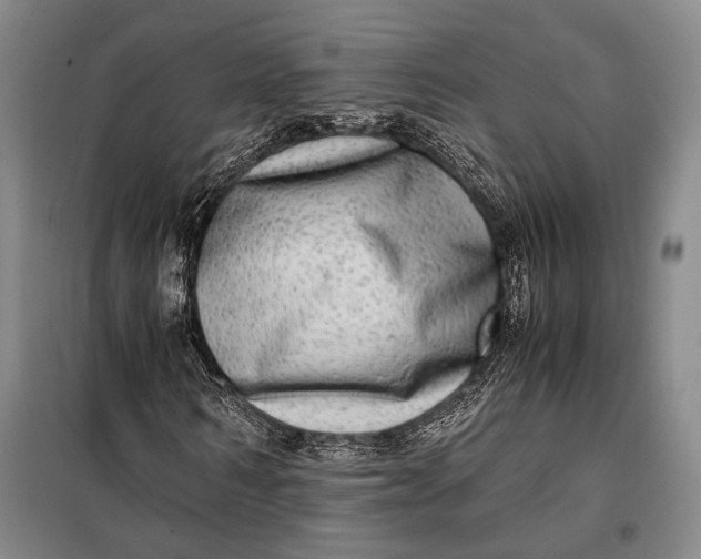 X0000098120962200804181516