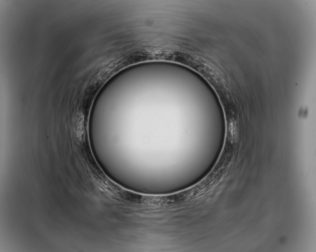 X0000098120963200804181516