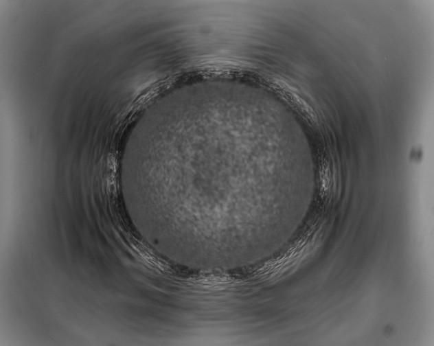 X0000098120964200804181516
