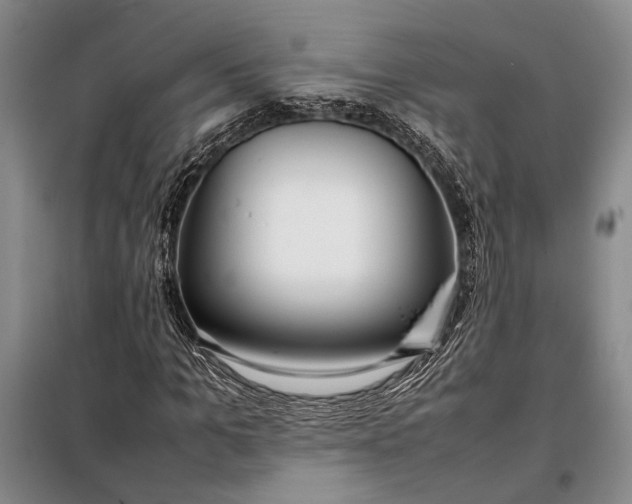 X0000098120965200804181516