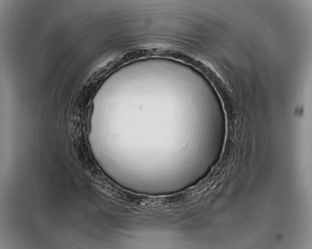 X0000098120967200804181516