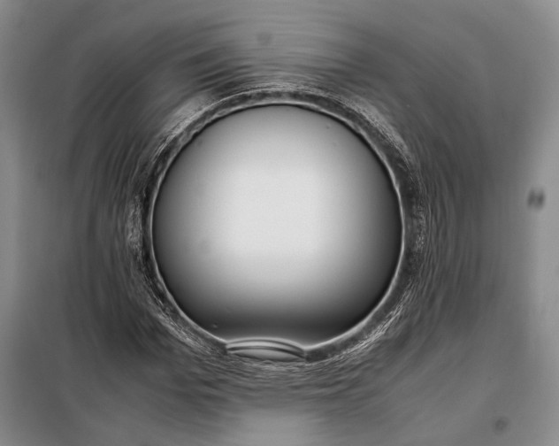 X0000098120969200804181516