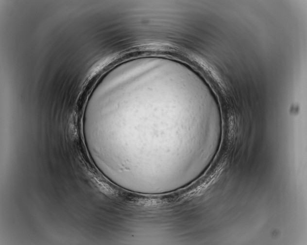X0000098120970200804181516