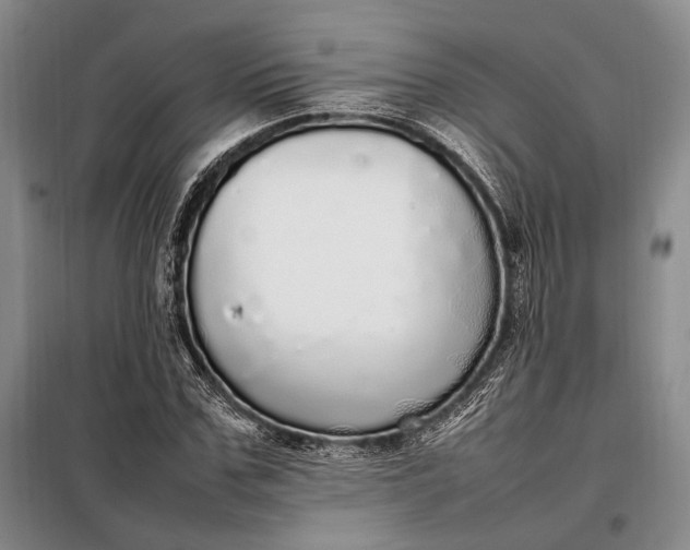 X0000098120971200804181516