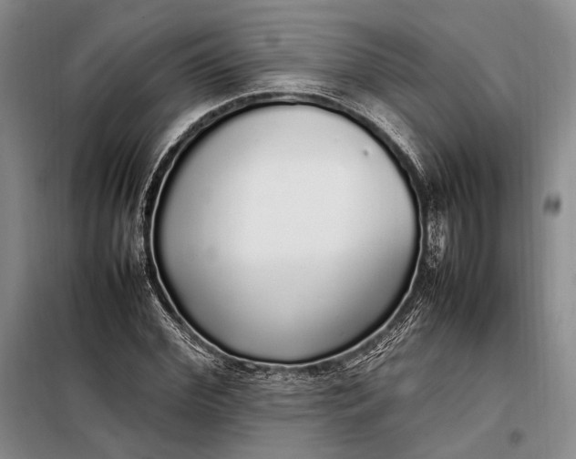 X0000098120972200804181516