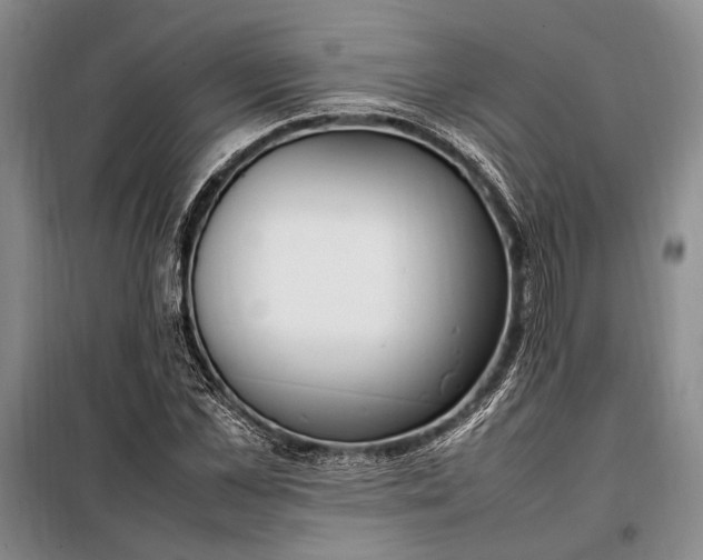 X0000098120973200804181516