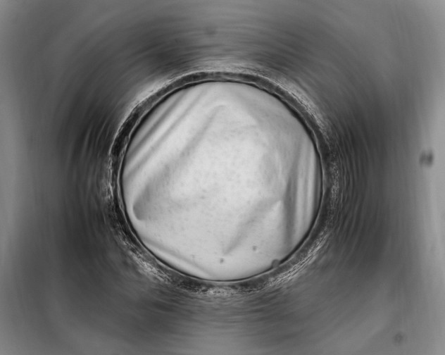 X0000098120974200804181516