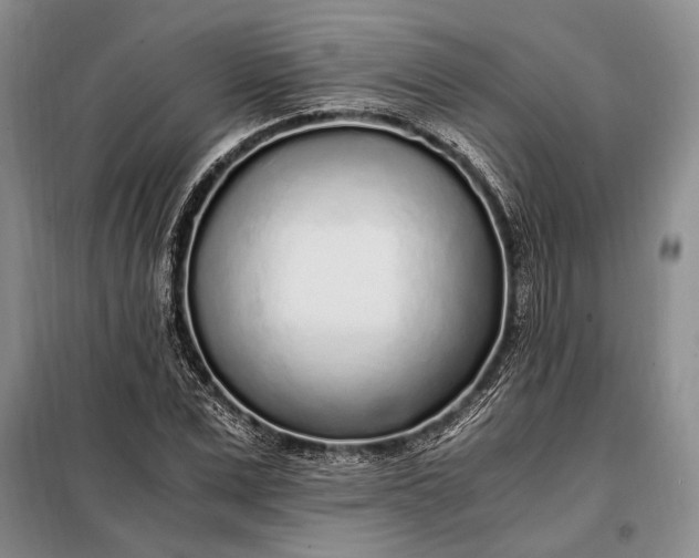 X0000098120975200804181516