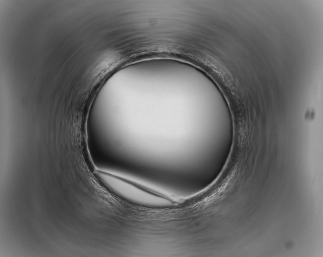 X0000098120977200804181516