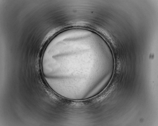 X0000098120978200804181516