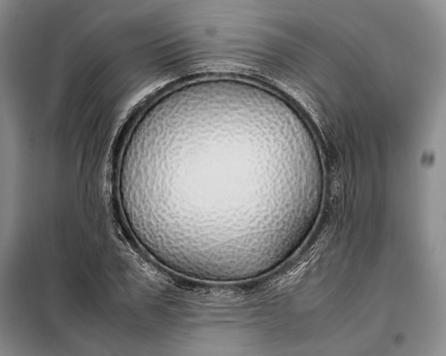 X0000098120979200804181516