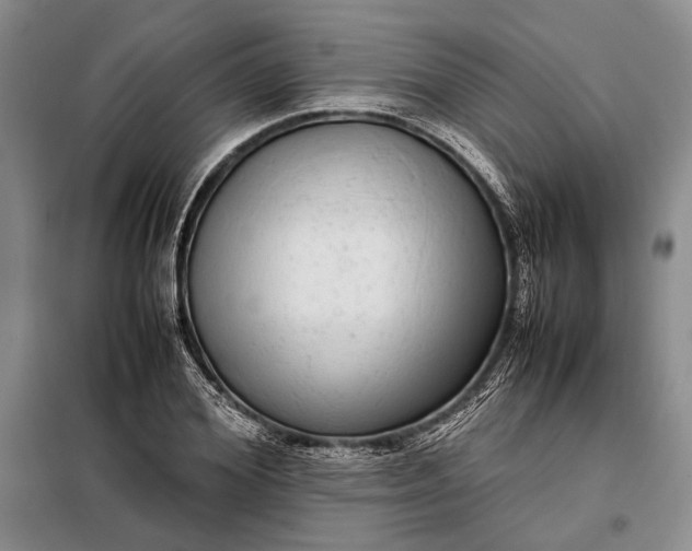 X0000098120980200804181516