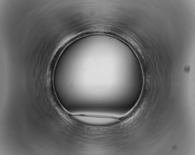 X0000098120981200804181516