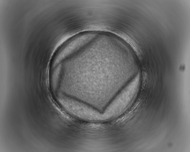 X0000098120982200804181516
