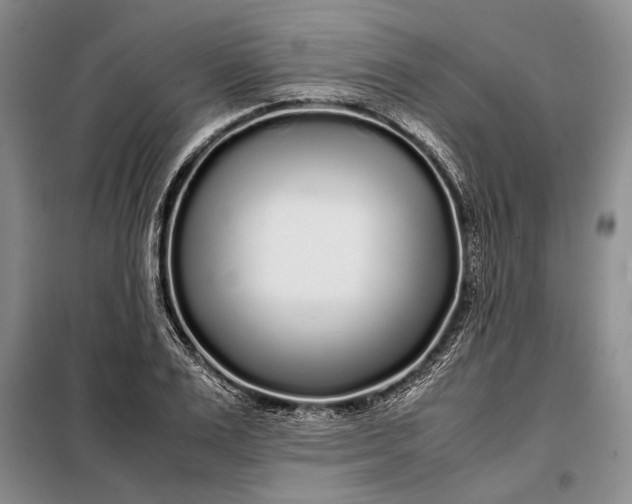 X0000098120983200804181516