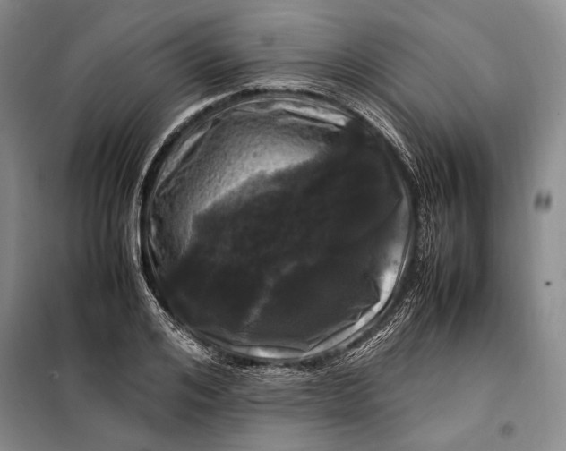 X0000098120984200804181516