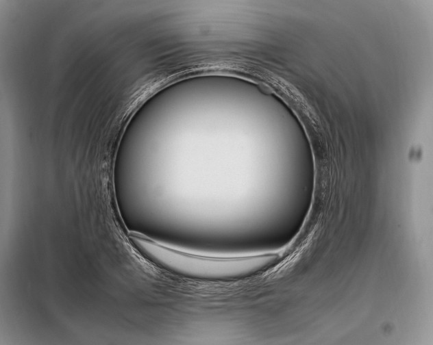 X0000098120985200804181516
