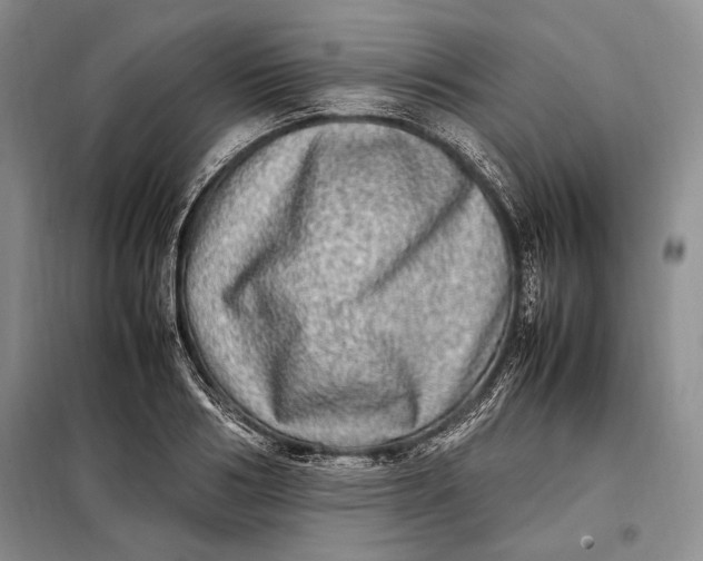 X0000098120986200804181515