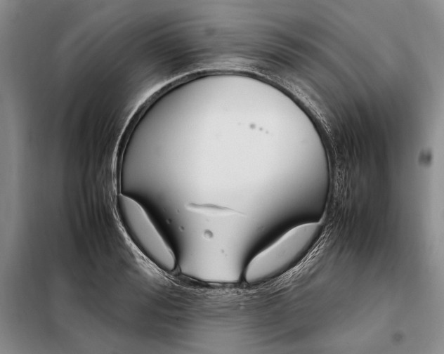 X0000098120988200804181515