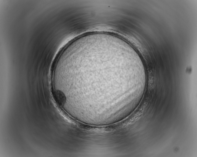 X0000098120990200804181515