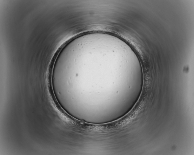 X0000098120991200804181515