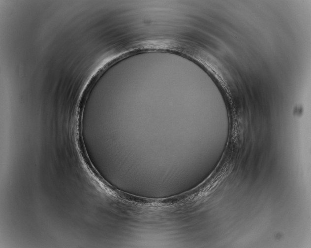 X0000098120992200804181515