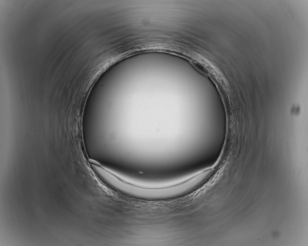 X0000098120993200804181515