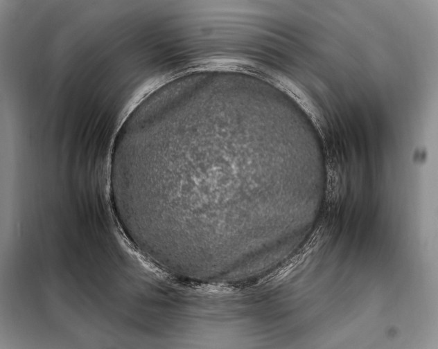 X0000098120994200804181515