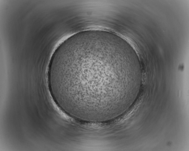 X0000098120995200804181515