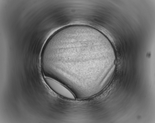 X0000098120996200804181515