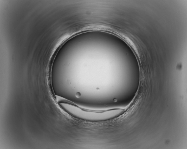X0000098120997200804181515