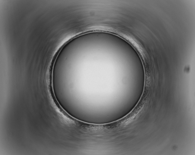 X0000098120999200804181515