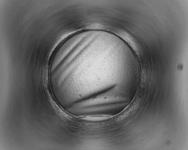 X0000098121000200804181515