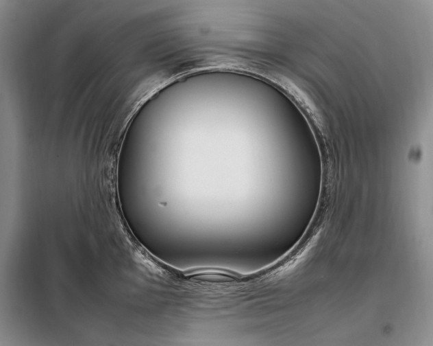 X0000098121001200804181515