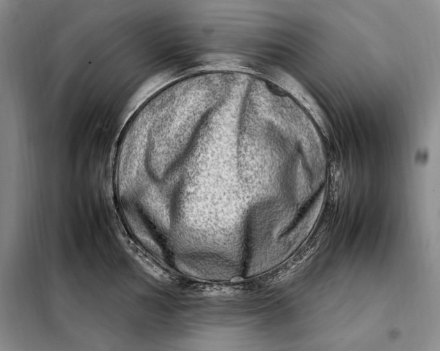 X0000098121002200804181515