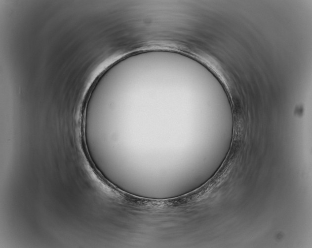 X0000098121003200804181515