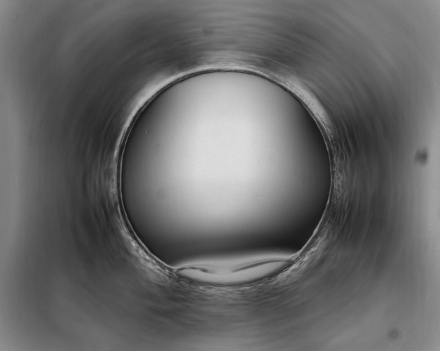 X0000098121004200804181515