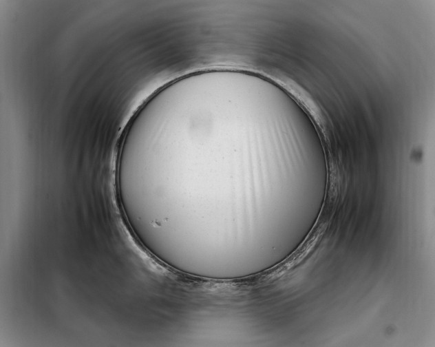 X0000098121006200804181515