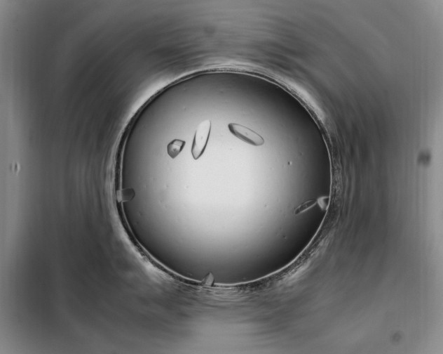 X0000098121007200804181515