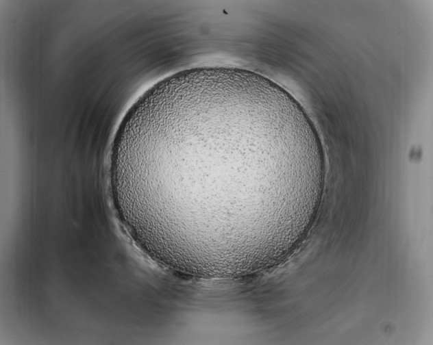 X0000098121008200804181515