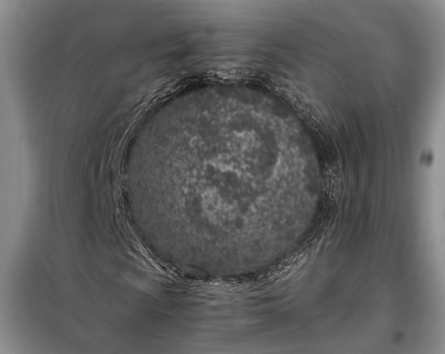 X0000098121009200804181514
