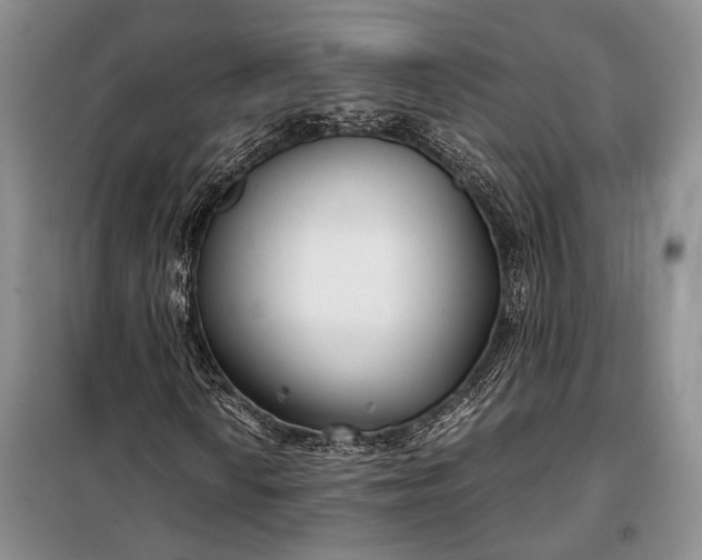 X0000098121010200804181514