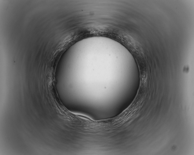 X0000098121012200804181514