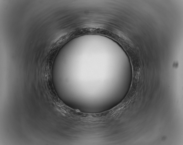X0000098121014200804181514