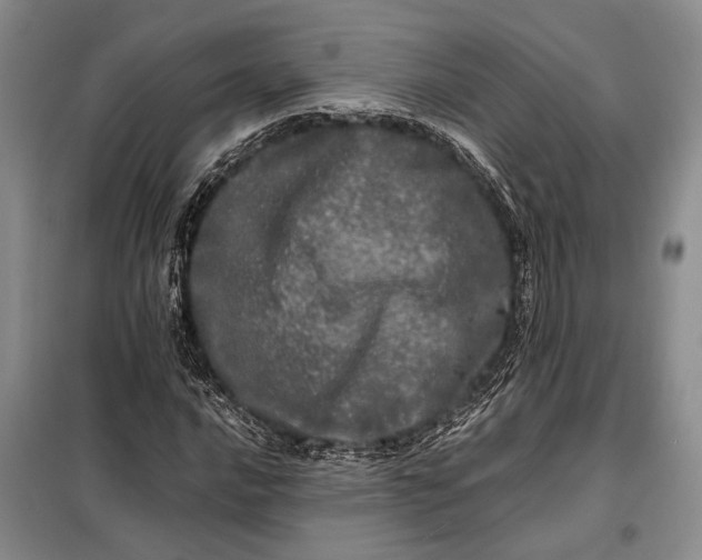 X0000098121016200804181514