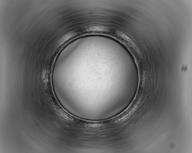 X0000098121017200804181514